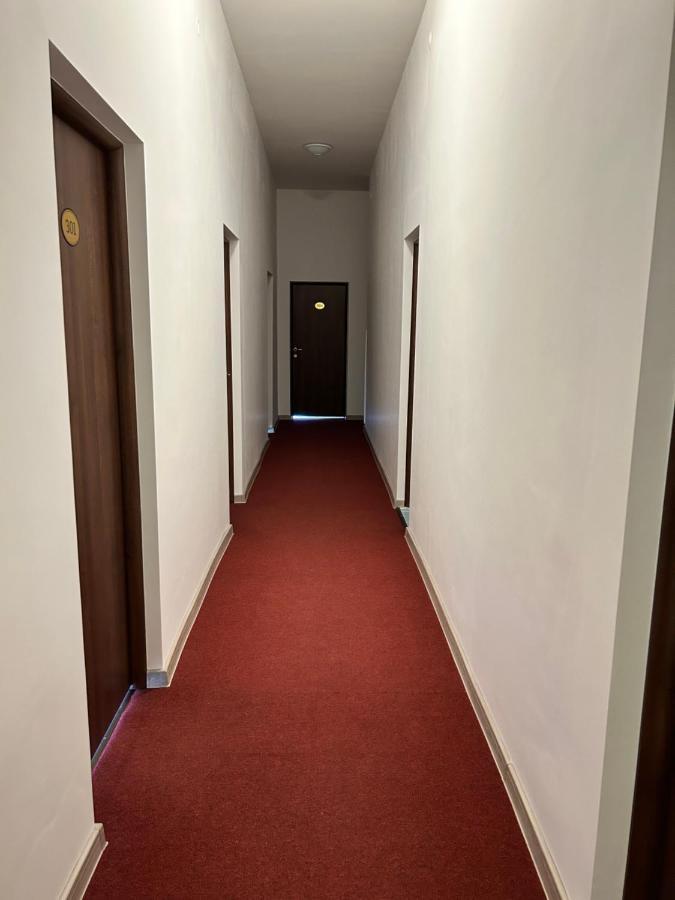 Hotel Continental City Center ヤシ エクステリア 写真