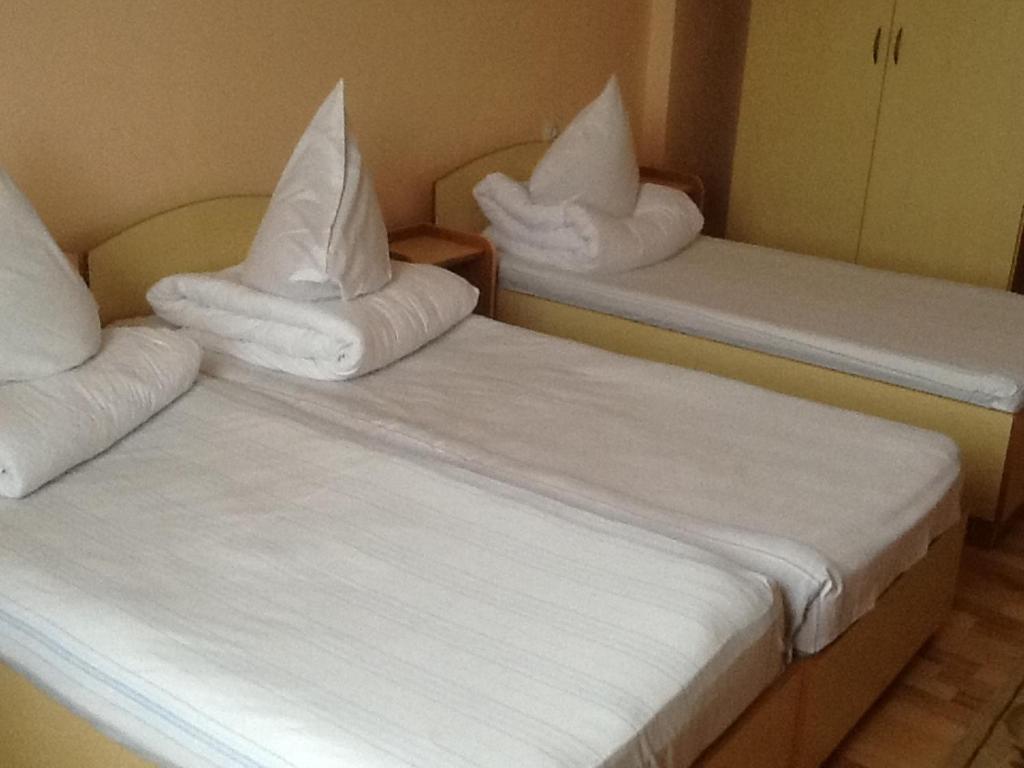 Hotel Continental City Center ヤシ 部屋 写真
